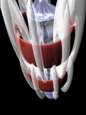 3D_Mobile_10.jpg Phones