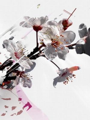 3D_Mobile_100.jpg Phones