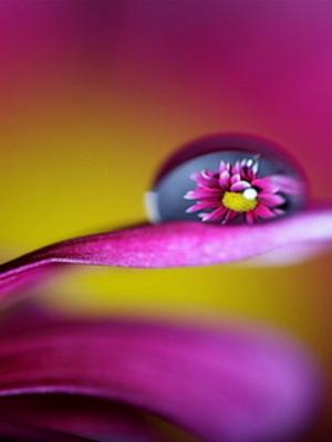 3D_Mobile_105.jpg Phones