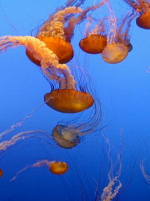 3D_Mobile_149.jpg Phones