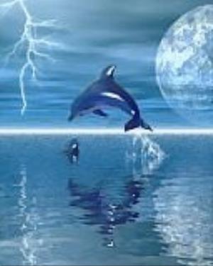 128x160-238.jpg Toons