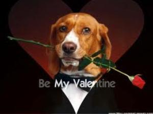 images50.jpg Valentine Wallpapers